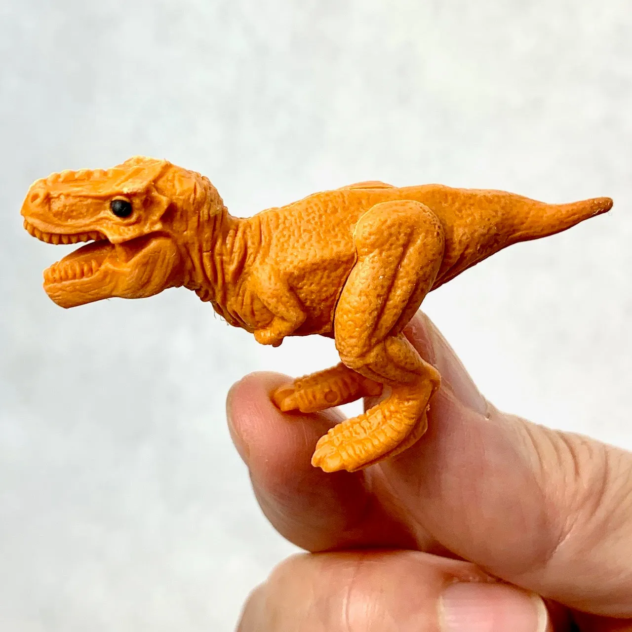 382661 IWAKO T REX DINOSAUR ERASERS-30