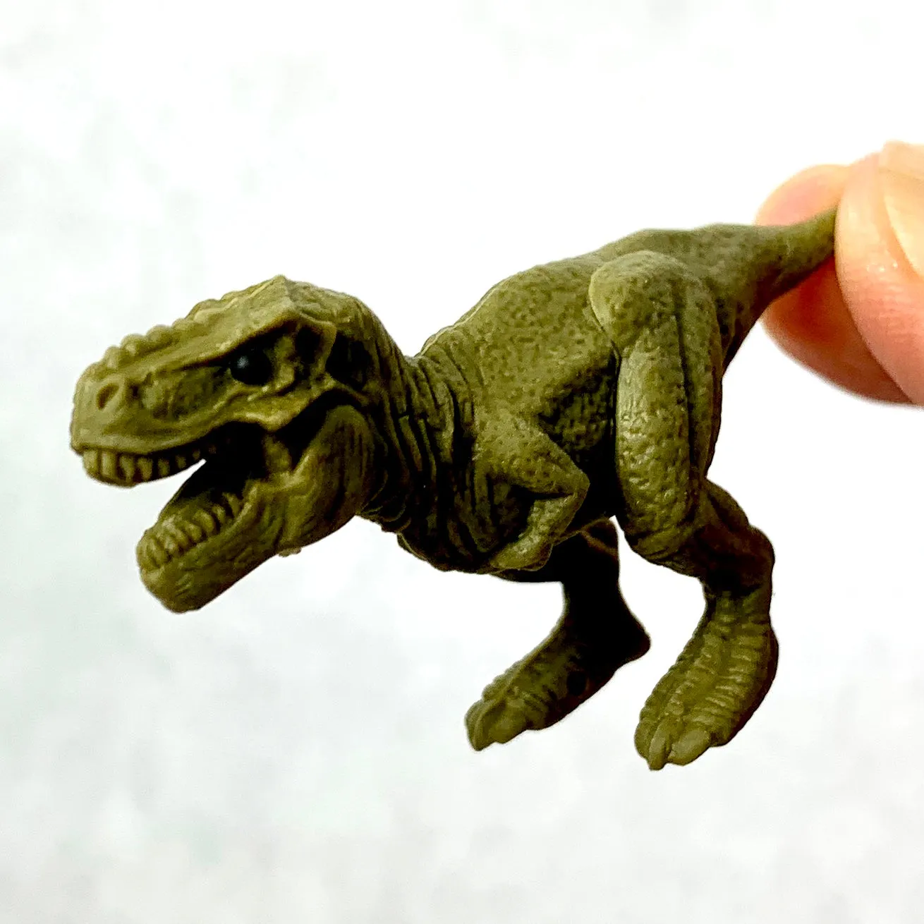 382661 IWAKO T REX DINOSAUR ERASERS-30