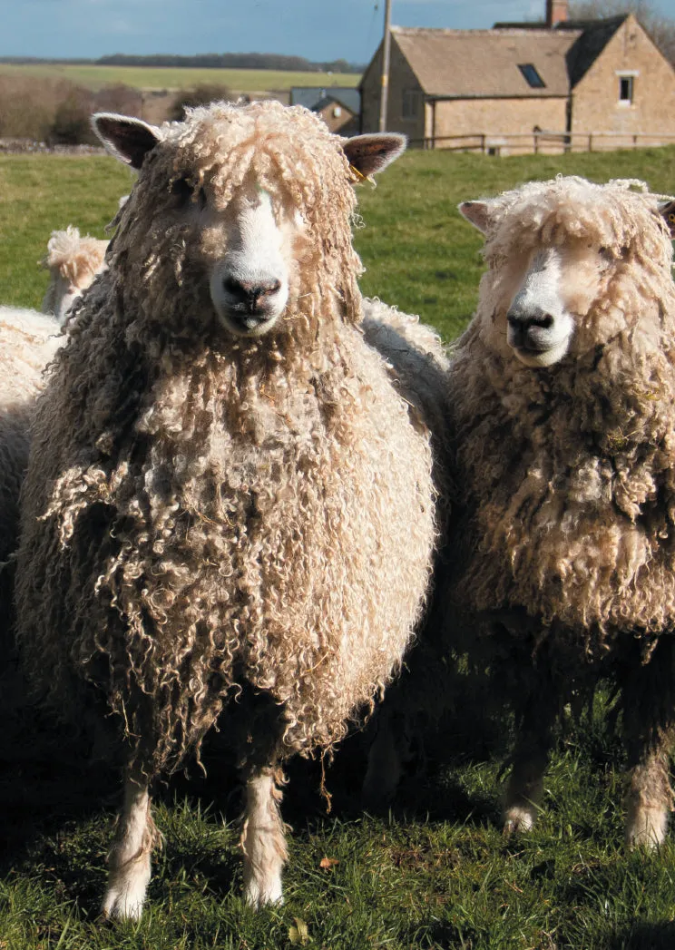 British Wool for Feltmaking