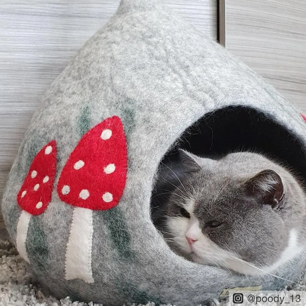 Cat Cave - Mushroom