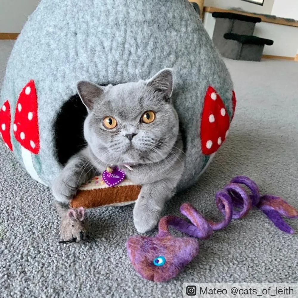 Cat Cave - Mushroom