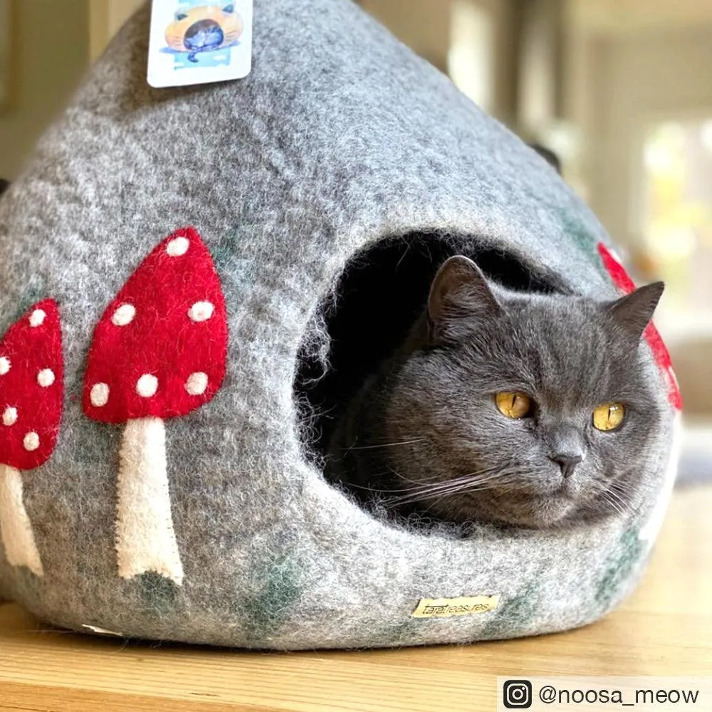 Cat Cave - Mushroom