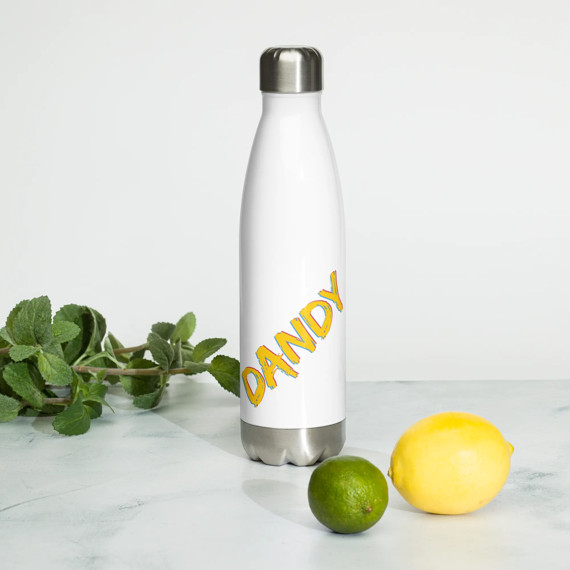 Dandy Stainless Steel Water Bottle