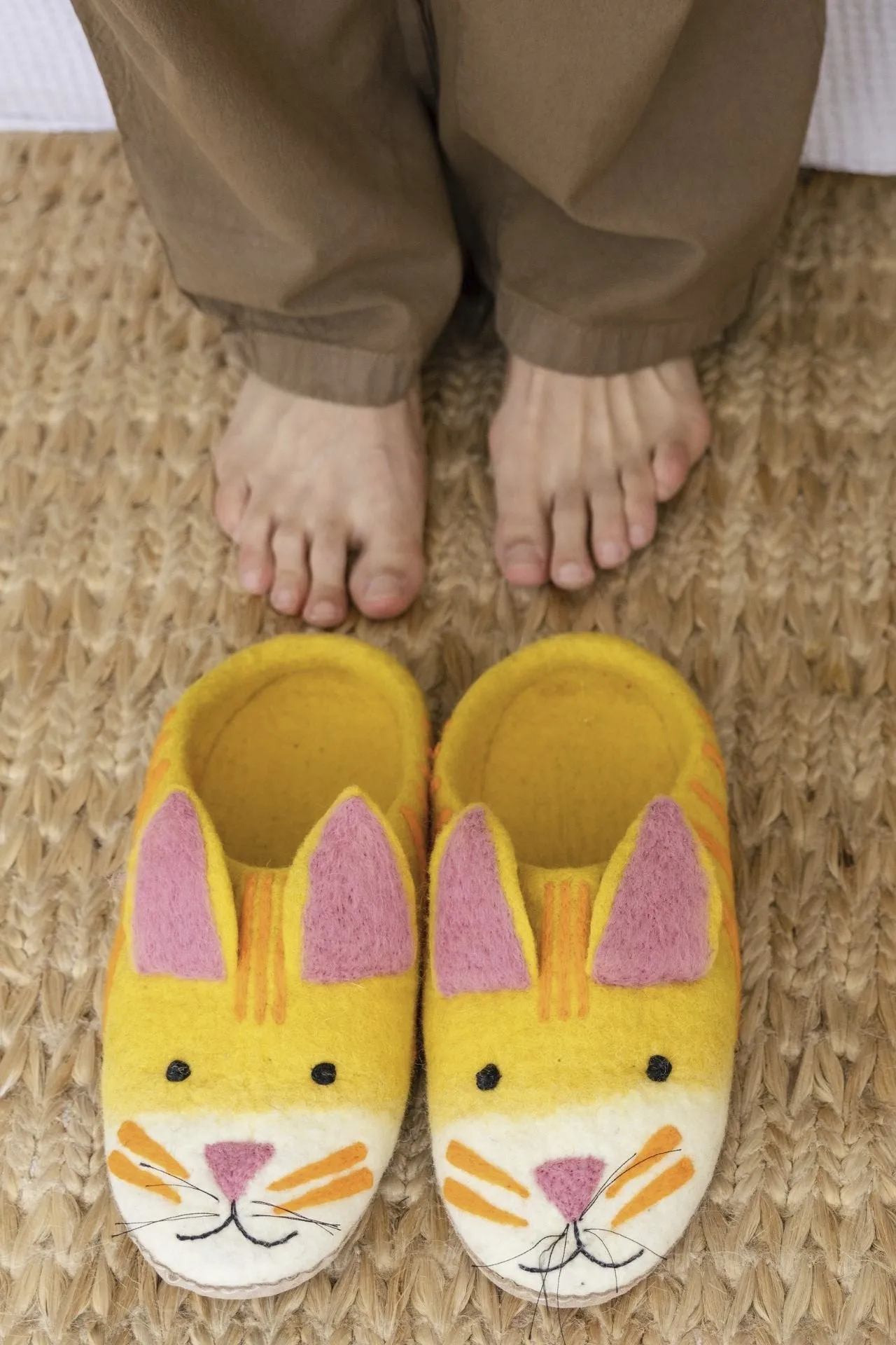 Felt Animal Slippers