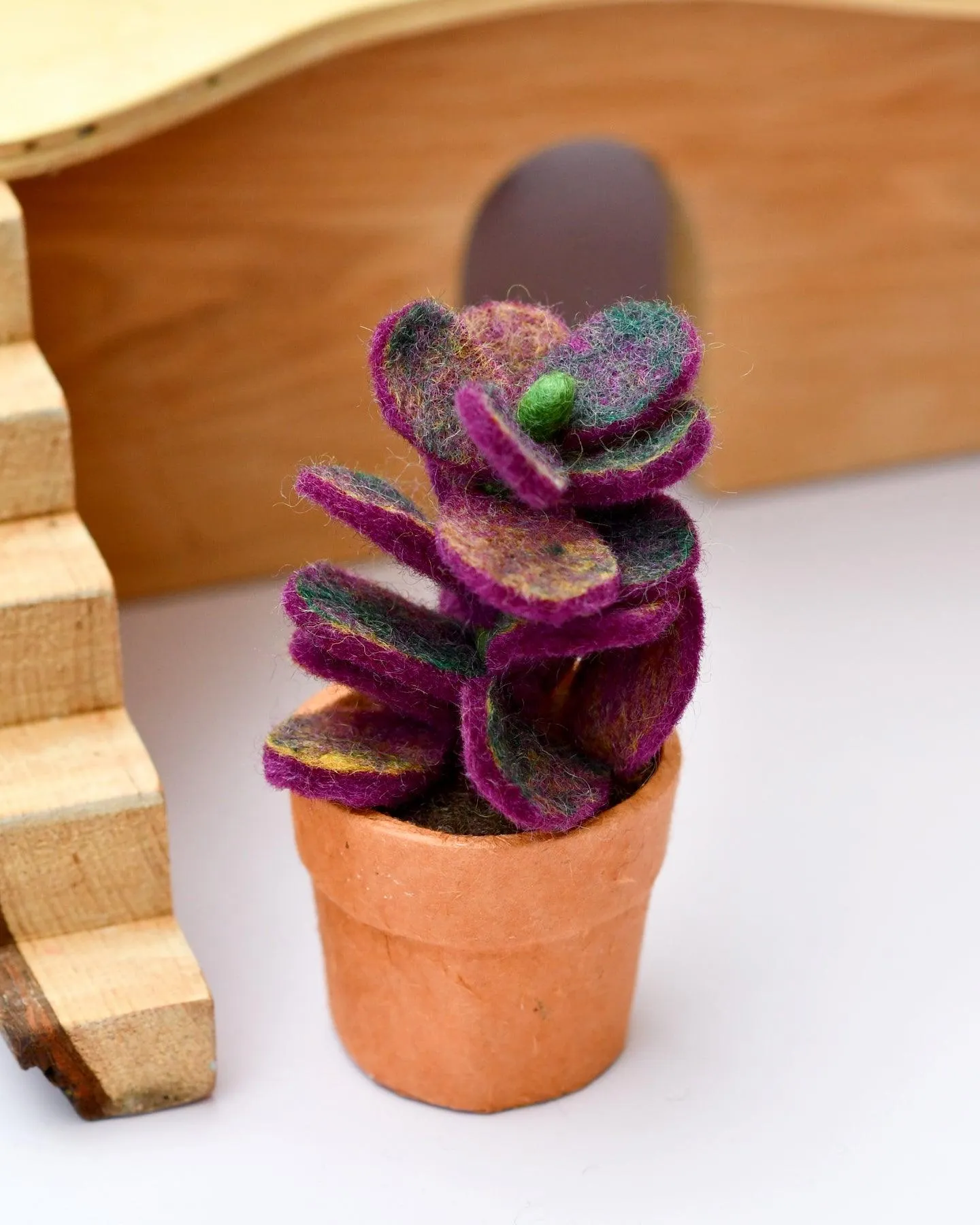 Felt Purple Jade Succulent Plant with Lokta Paper Pot