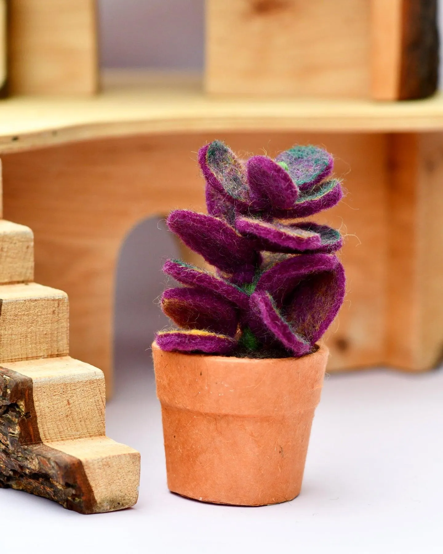 Felt Purple Jade Succulent Plant with Lokta Paper Pot