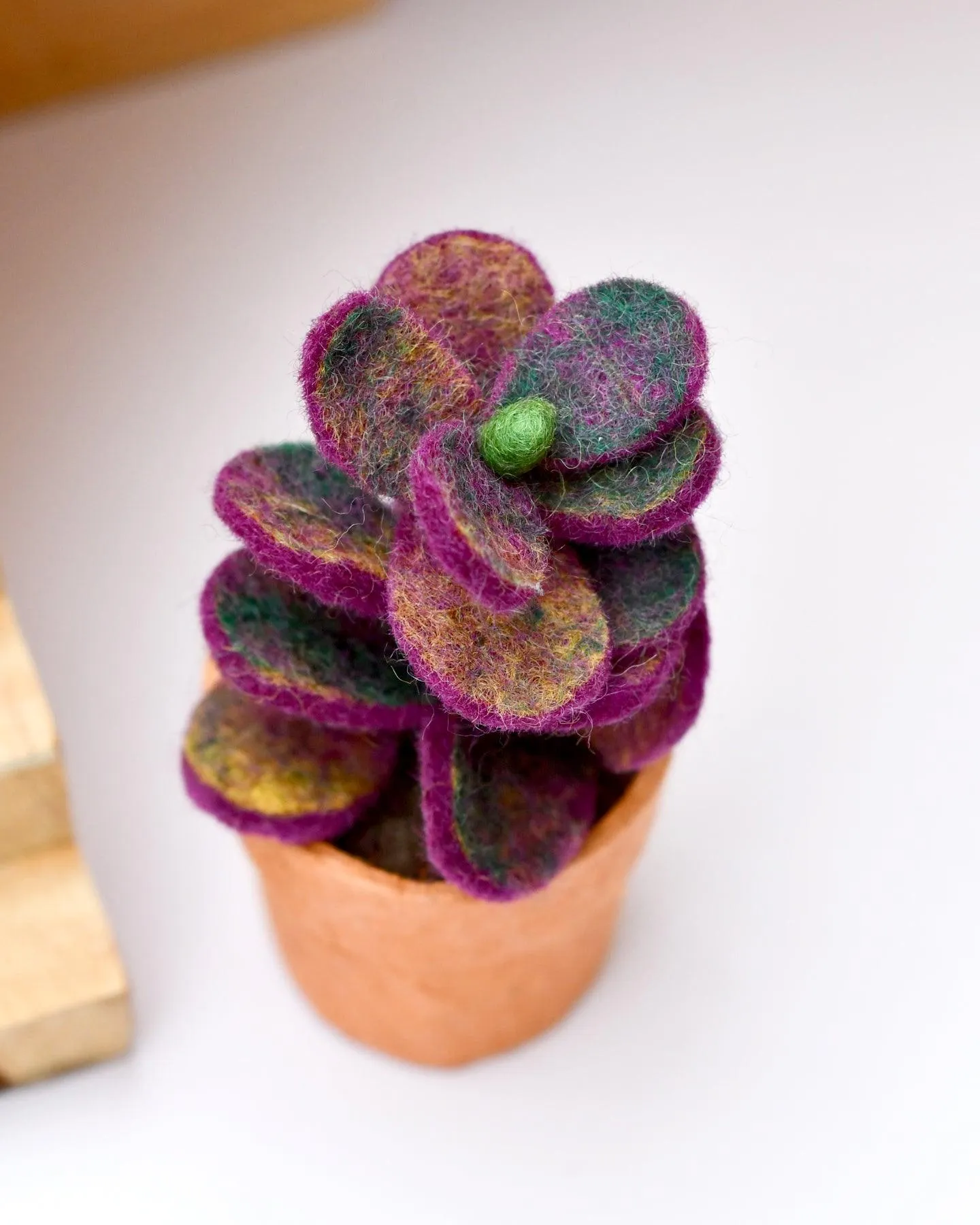 Felt Purple Jade Succulent Plant with Lokta Paper Pot