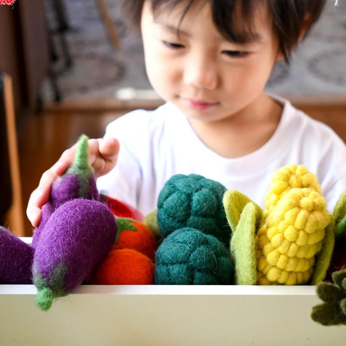 Felt Vegetables and Fruits Set B (Set of 11 pieces)