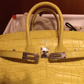 Hermès Birkin 25 Lime Alligator Mississippi Matte Palladium Hardware PHW