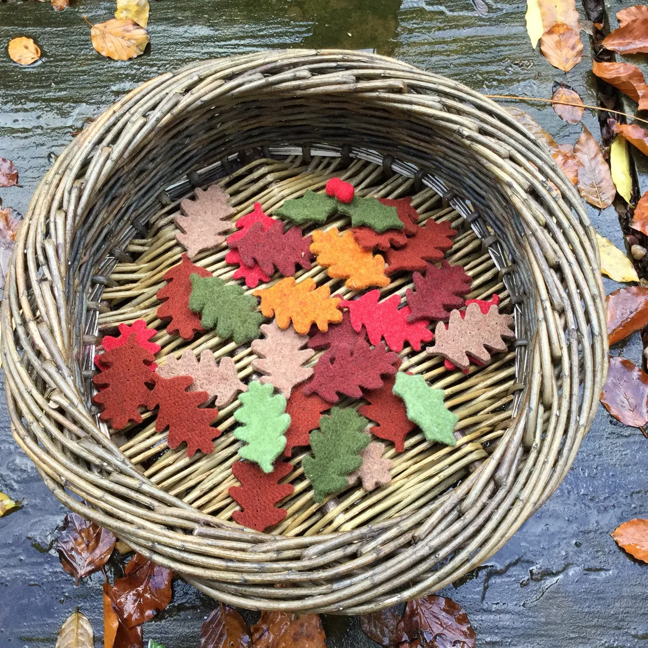 Joe's Toes Felt Oak Leaves