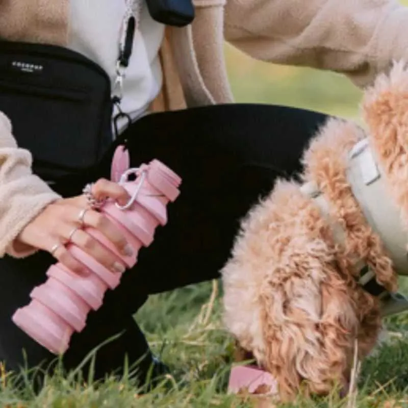 Pink Collapsible Water Bottle