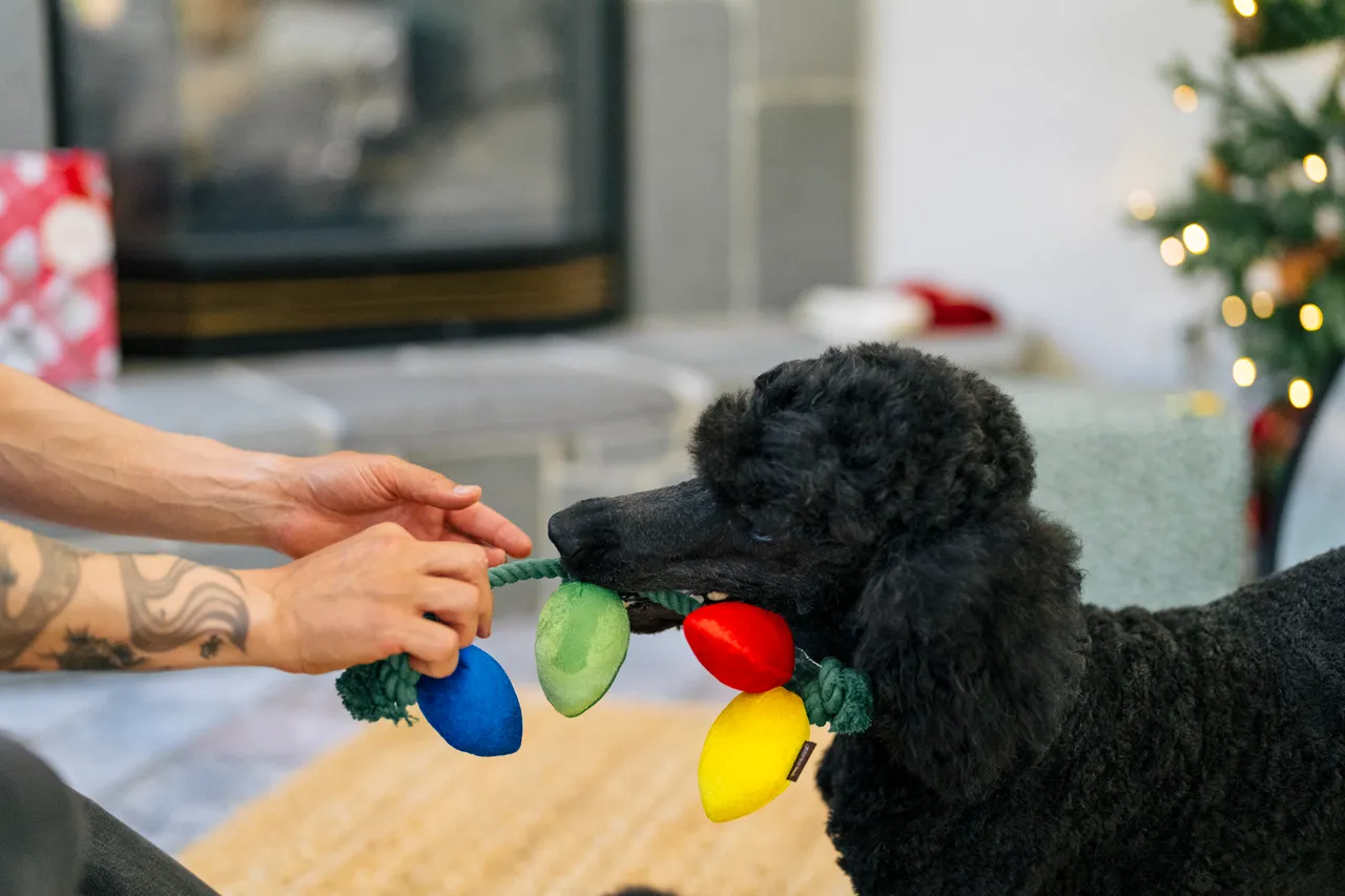 P.L.A.Y. Home for the Holidays Interactive Dog Toy, Holiday Lights