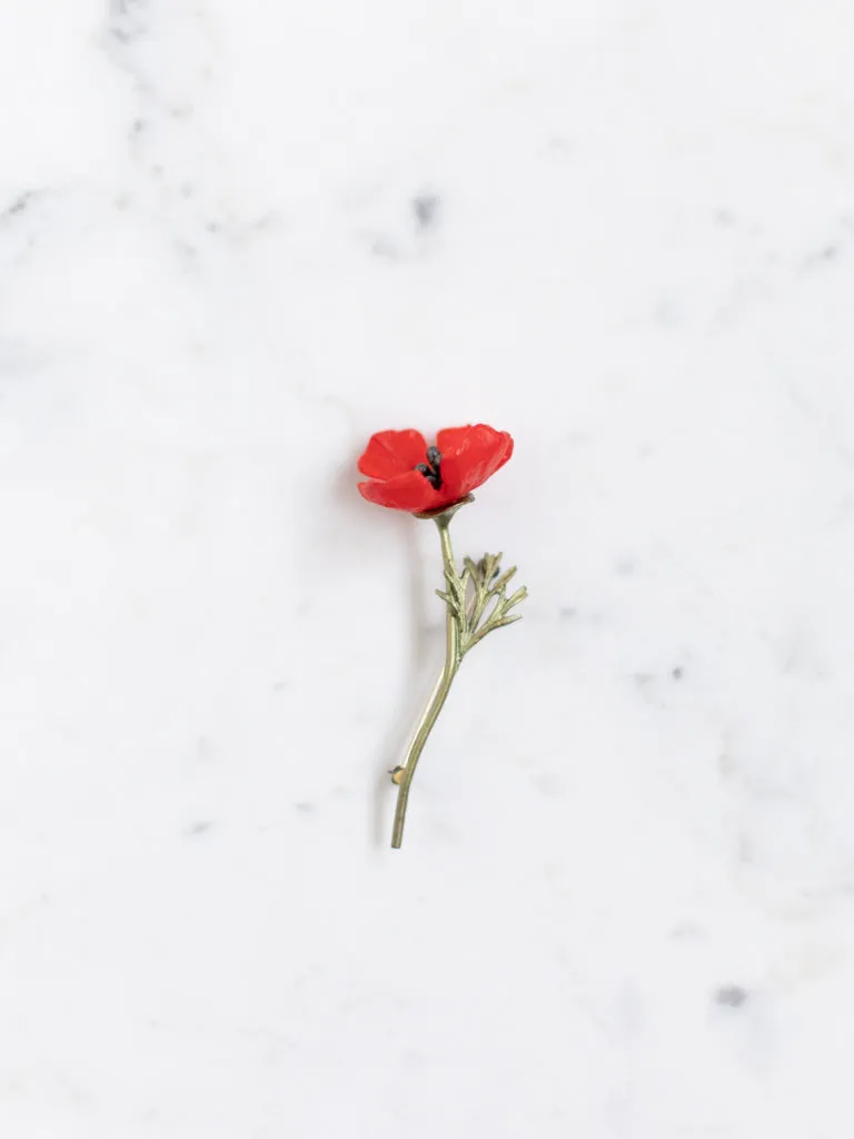 Poppy Brooch