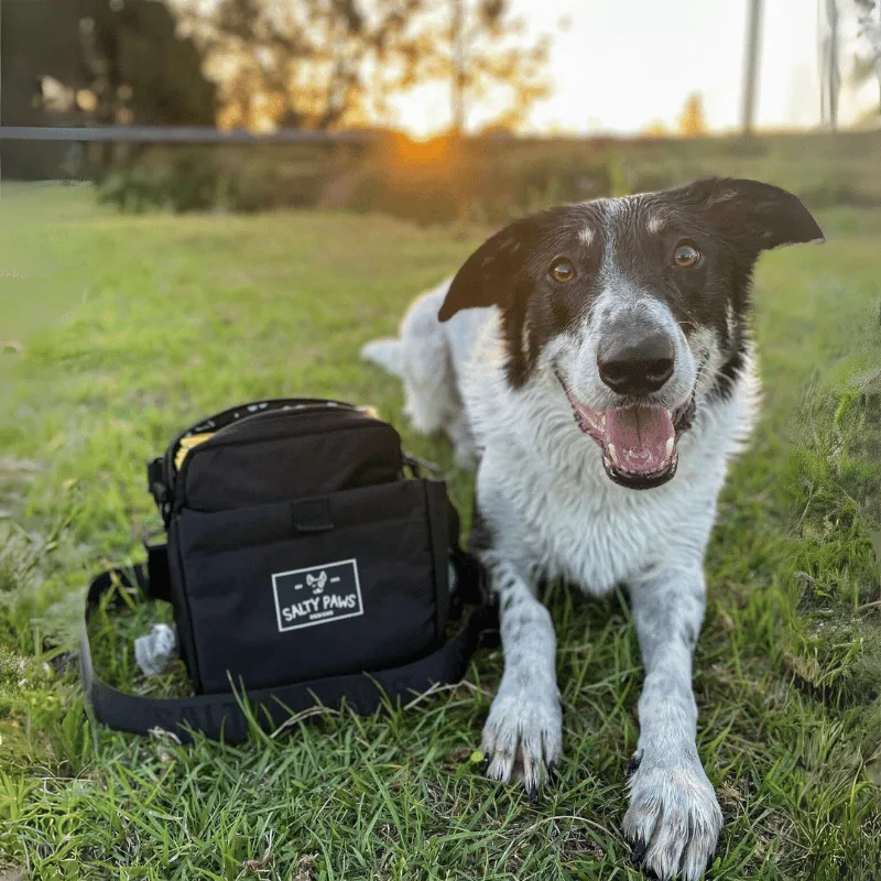 The Original Dog Training Treat Pouch